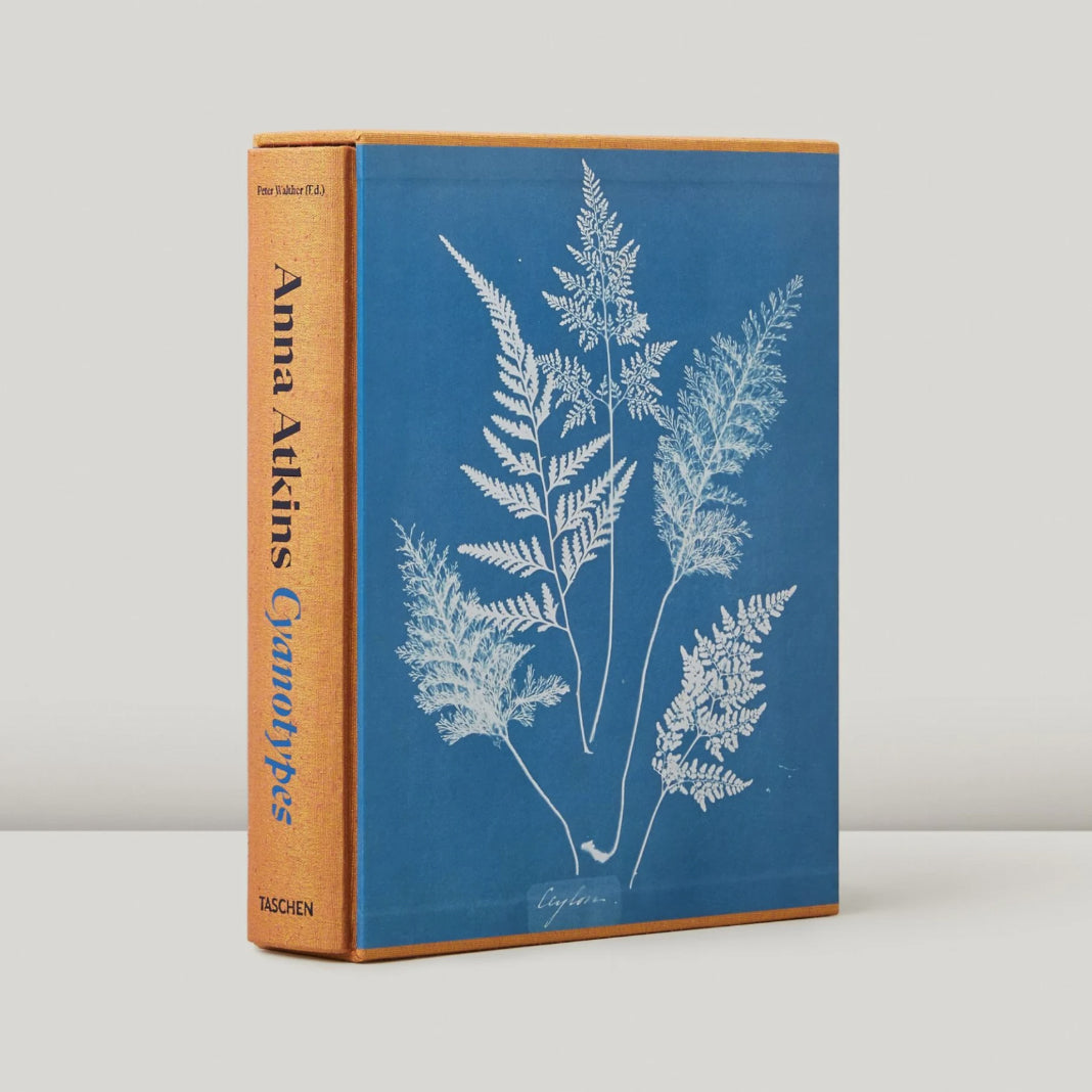 Anna Atkins. Cyanotypes by Anna Atkins
